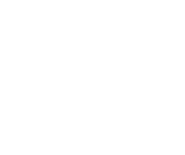 Trịnh Tổng Partners Logo